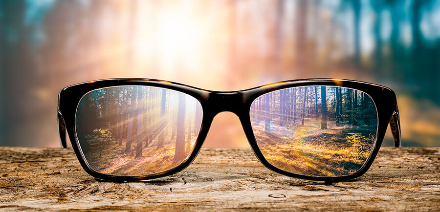 Looking Through Eyeglasses in the Forest