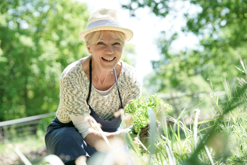 Older woman gardening