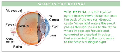 About the Eye, Eye Care Atlanta, Retina Care Atlanta