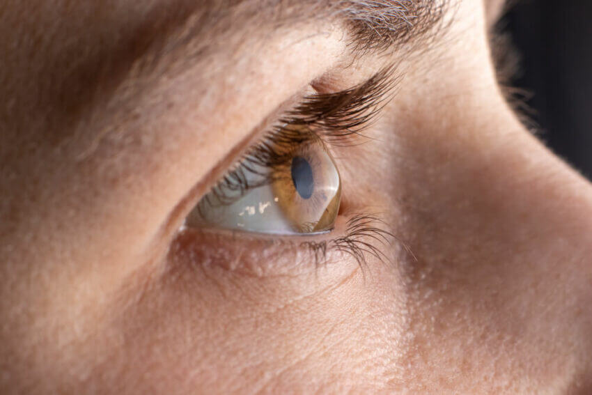 Closeup of a brown eye
